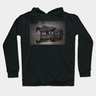 Through the Water Hoodie